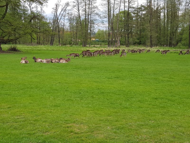 gal/2019/09 Cyklo Blatna/20190503_145159.jpg